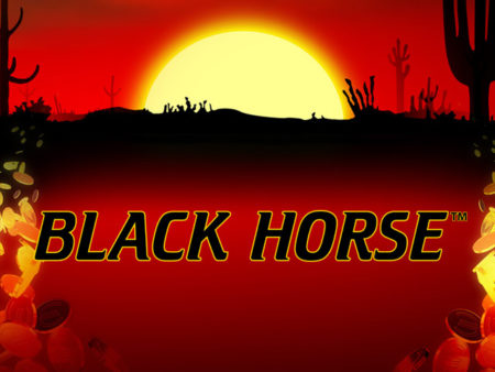 black horse